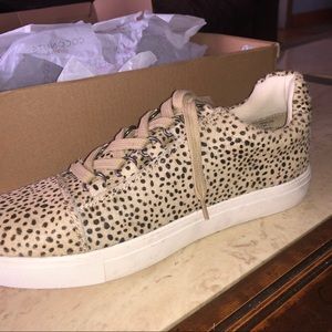 Matisse foot wear. Lure leopard sneakers